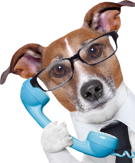 Appointment Highland Veterinary Hospital