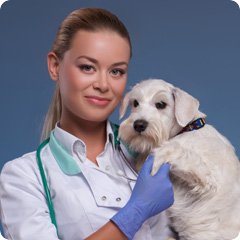 7 Warning Signs Your Pet Needs a Veterinarian